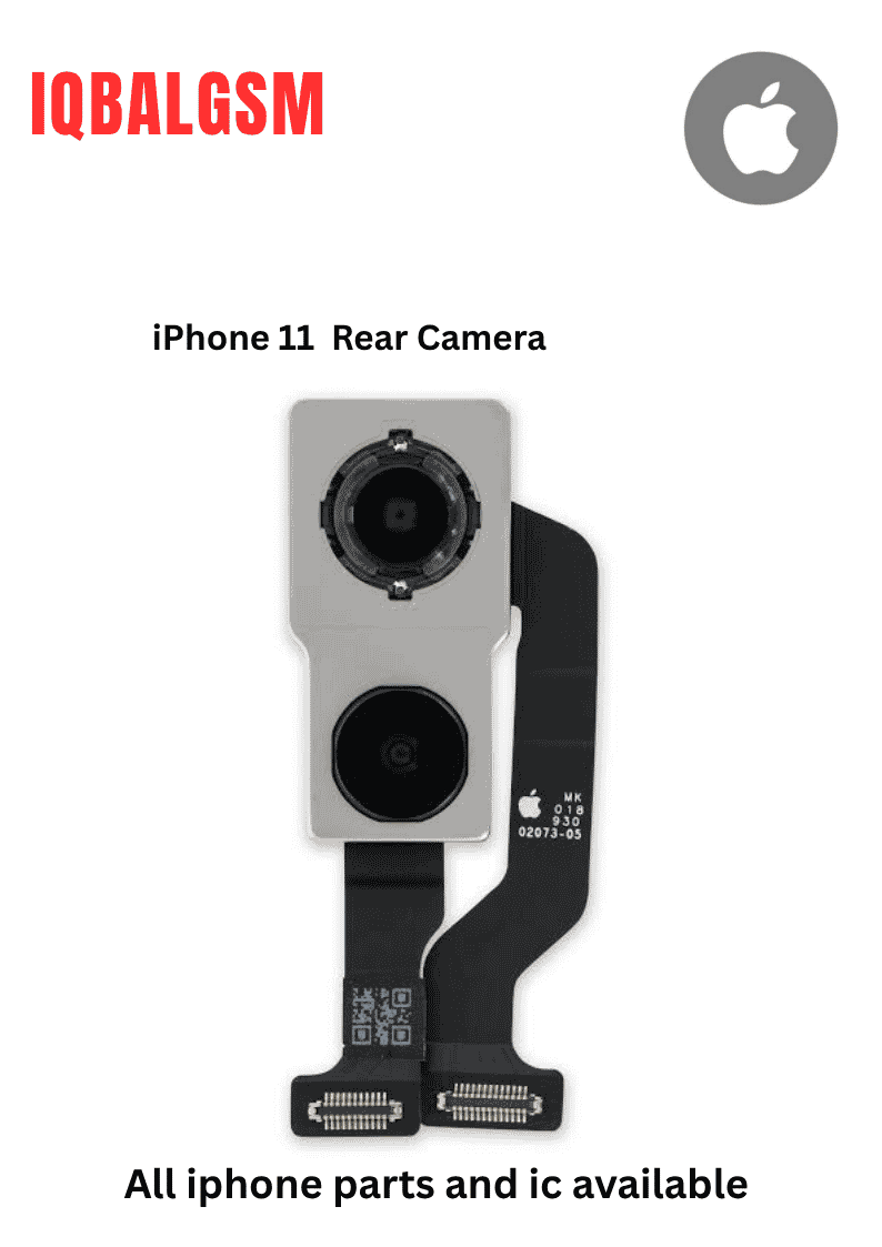 iPhone 11 Rear Camera
