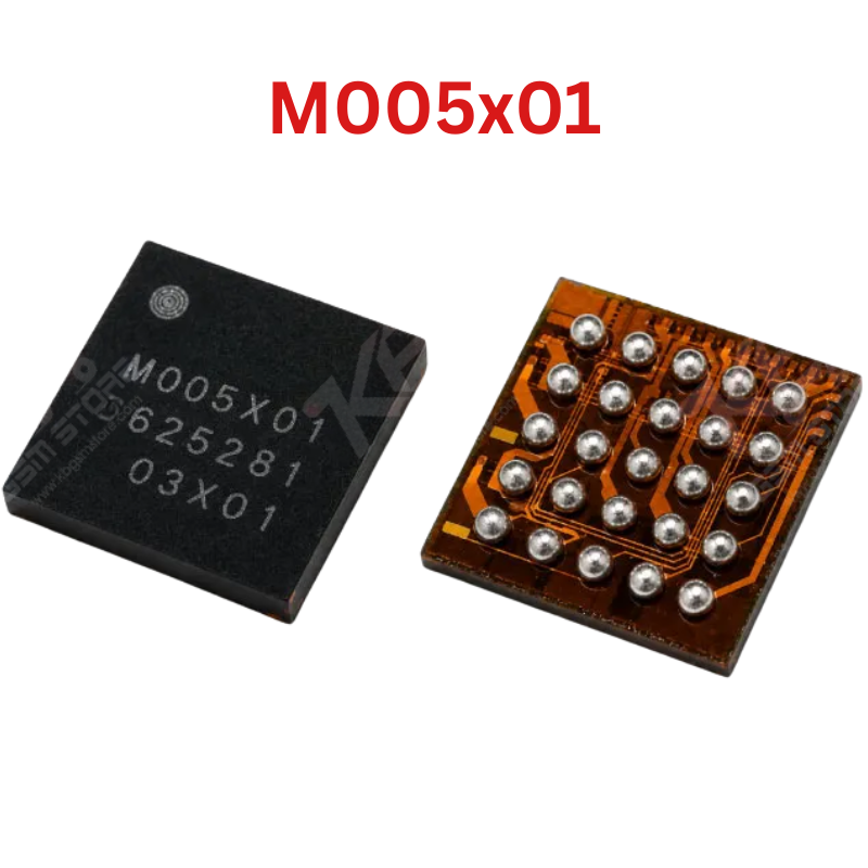 M005X01 IC