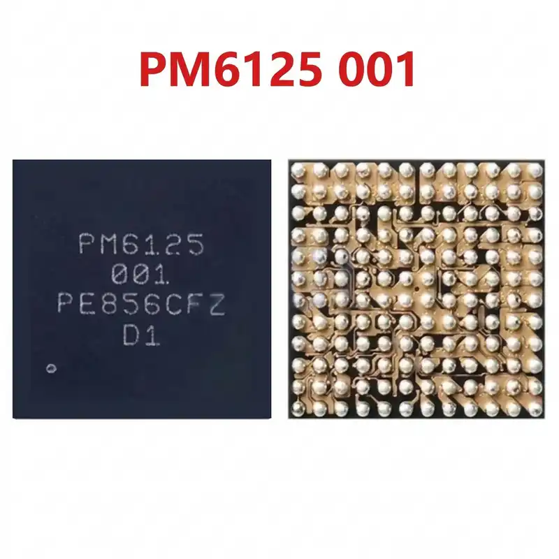 PM6125 IC