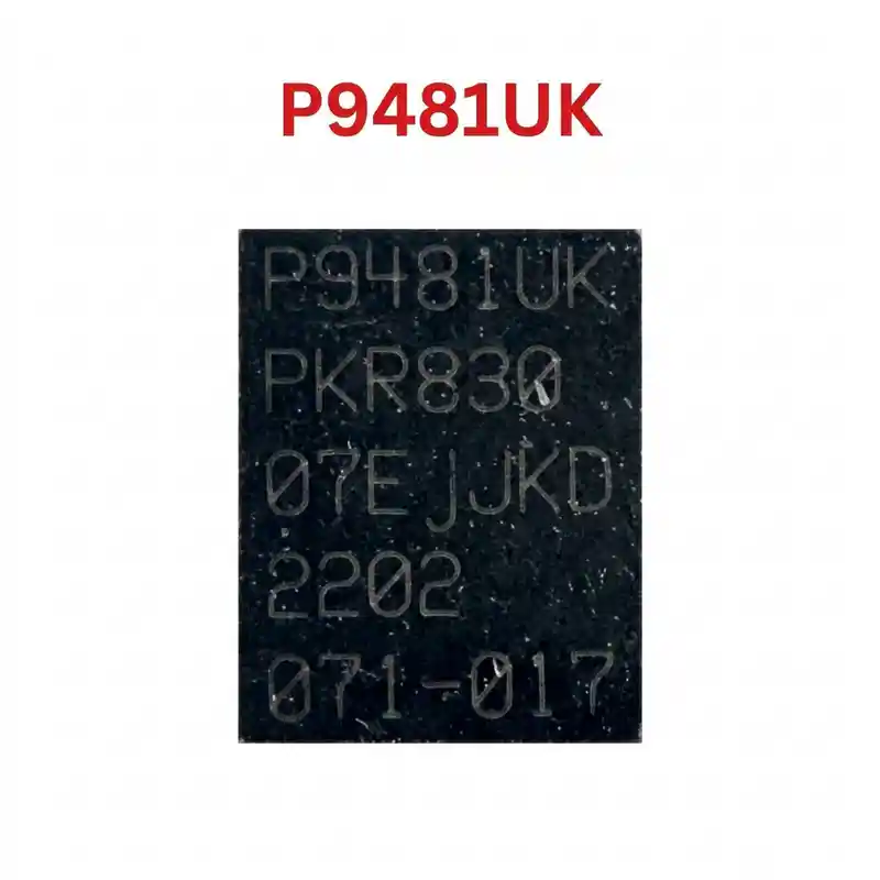 P9481 IC