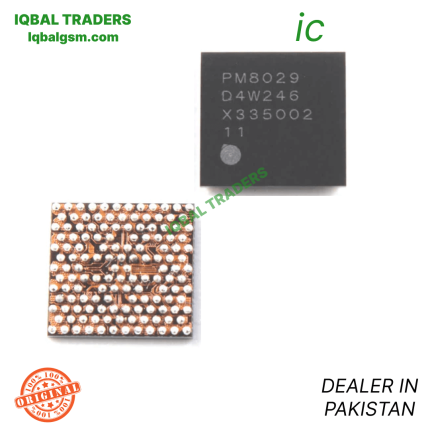 pm 8029 ic