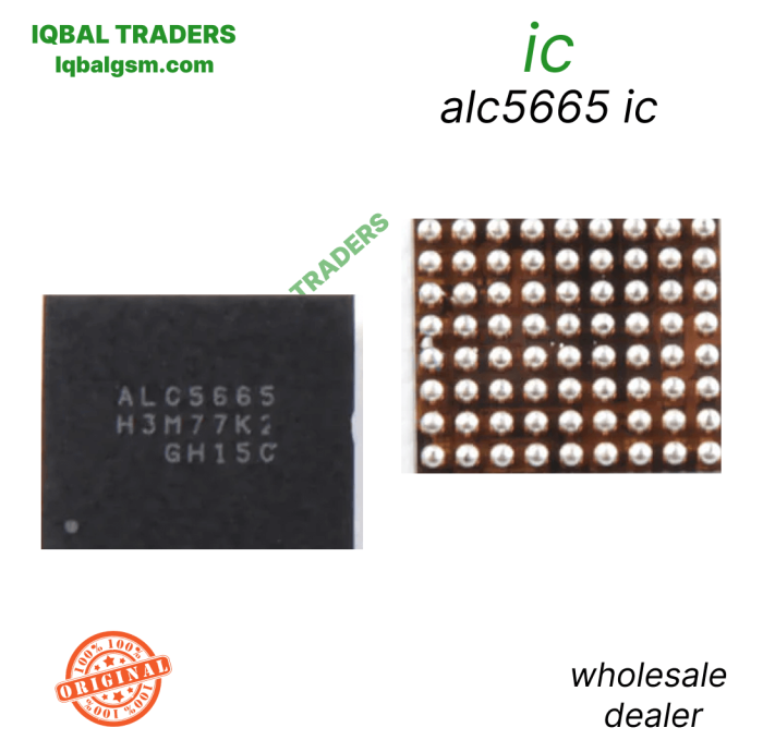 alc5665 ic