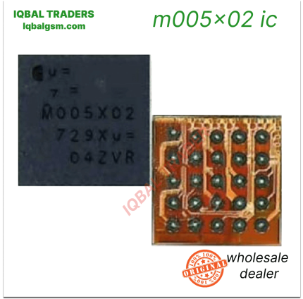 m005x02 ic